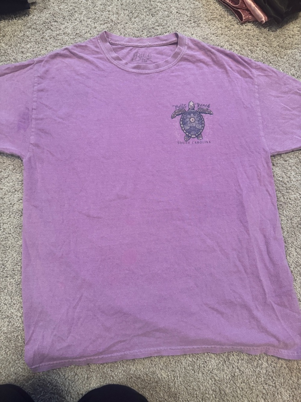 Unbranded Men's Purple Short-Sleeve T-Shirt with Turtle Graphic